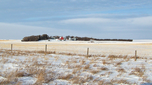 5225564185_bb93aac89d